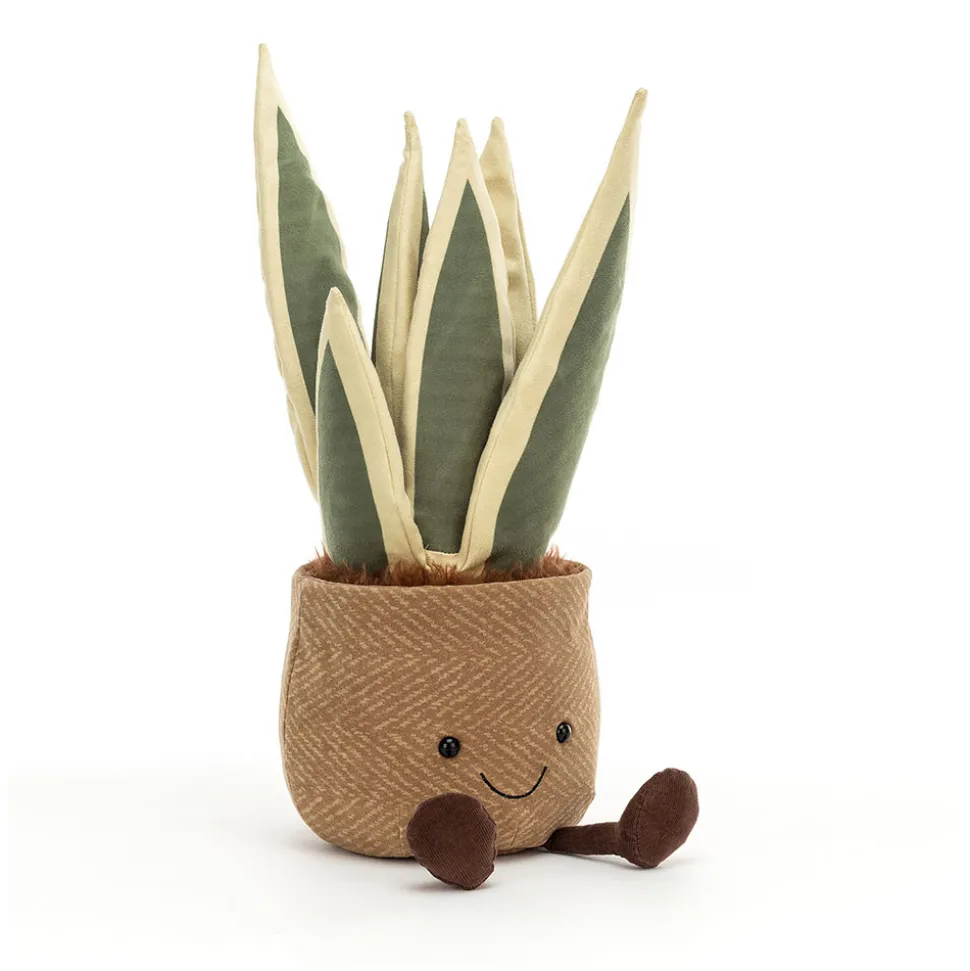 Amuseables Snake Plant