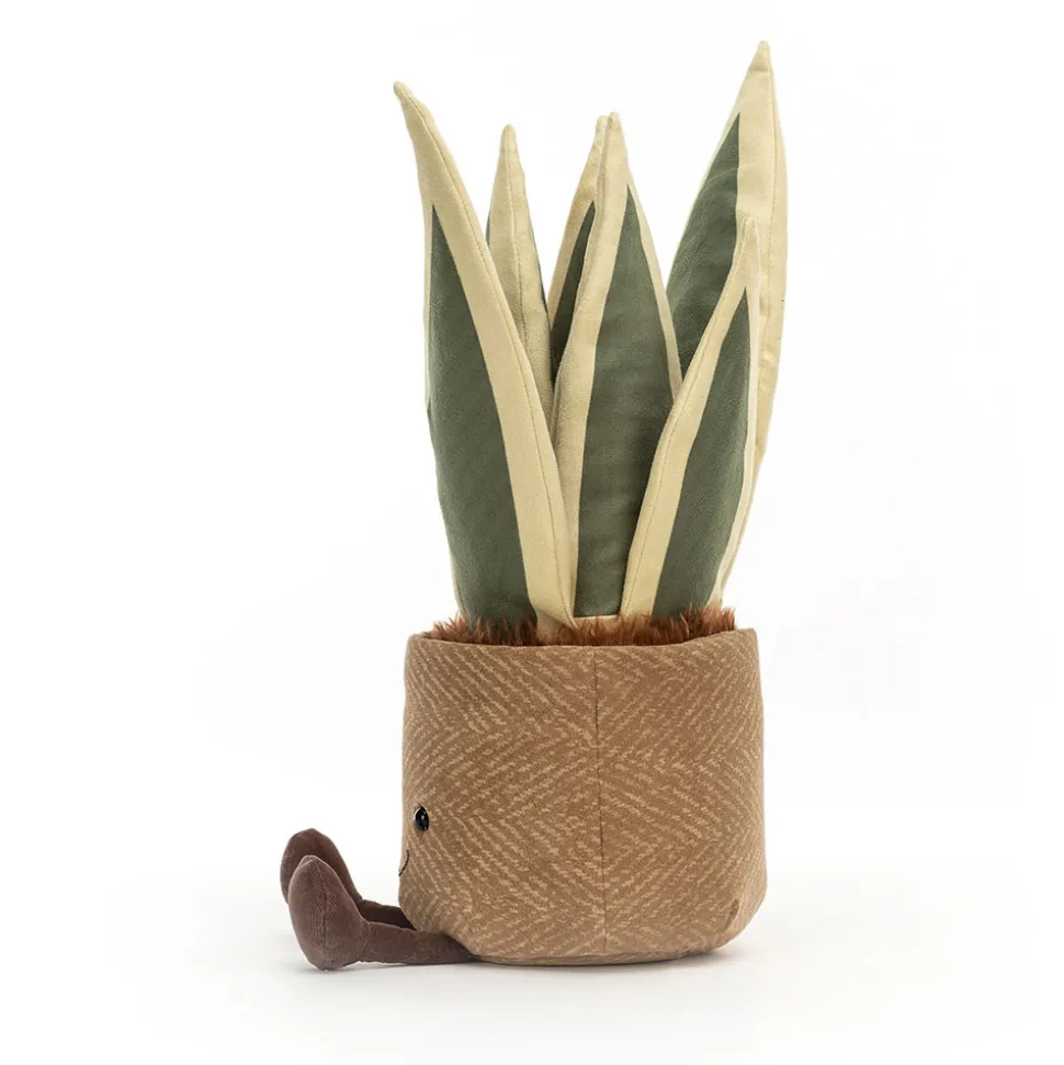 Amuseables Snake Plant