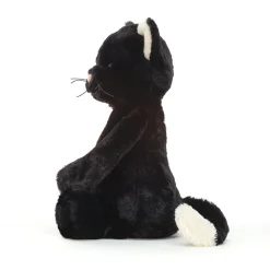 Bashful Black Kitten
