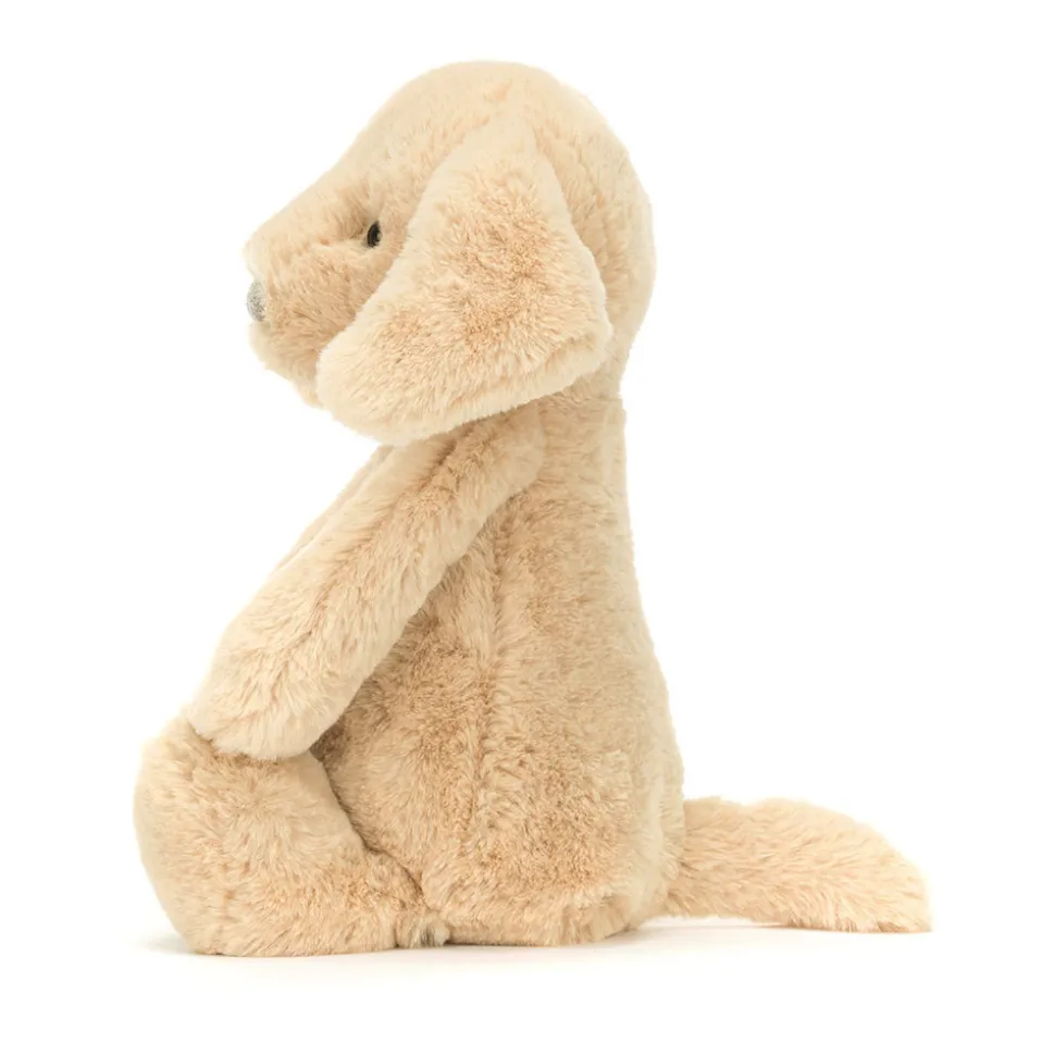 Bashful Luxe Puppy Orlando