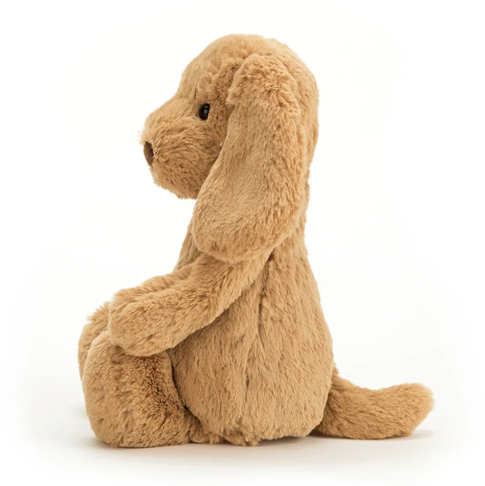 Bashful Toffee Puppy