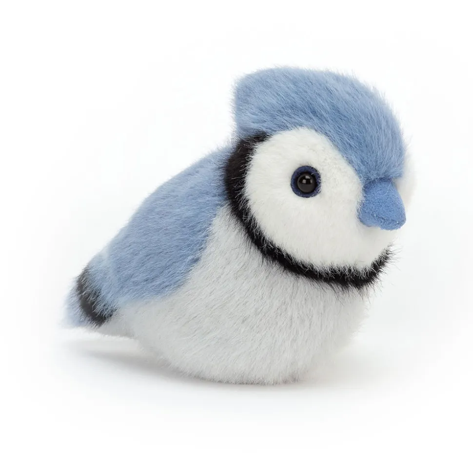 Birdling Blue Jay