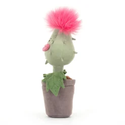 Carniflore Priscilla