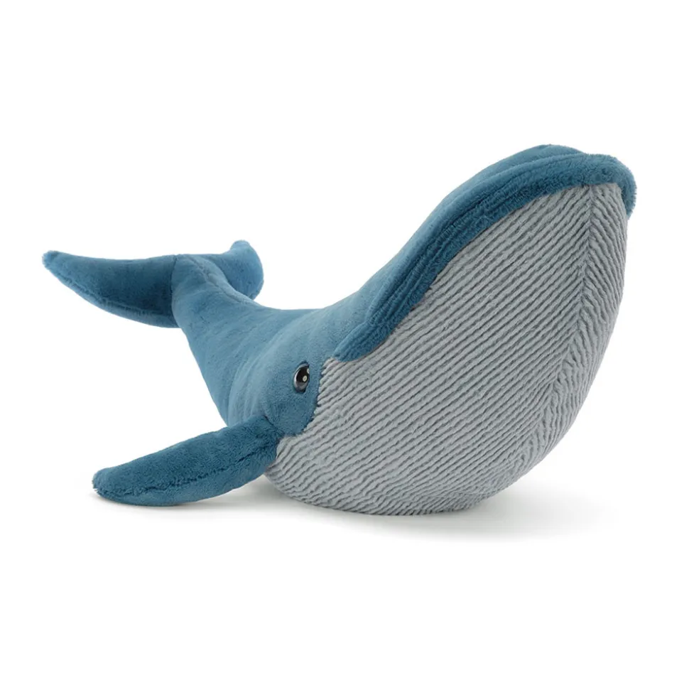 Gilbert the Great Blue Whale
