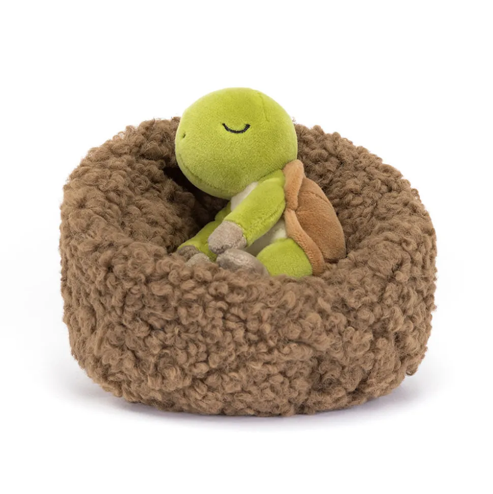 Hibernating Tortoise