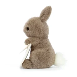 Messenger Bunny