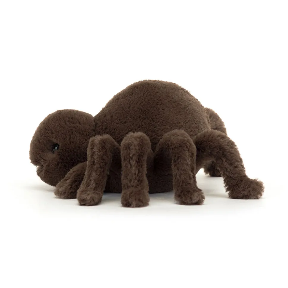 Ooky Spider