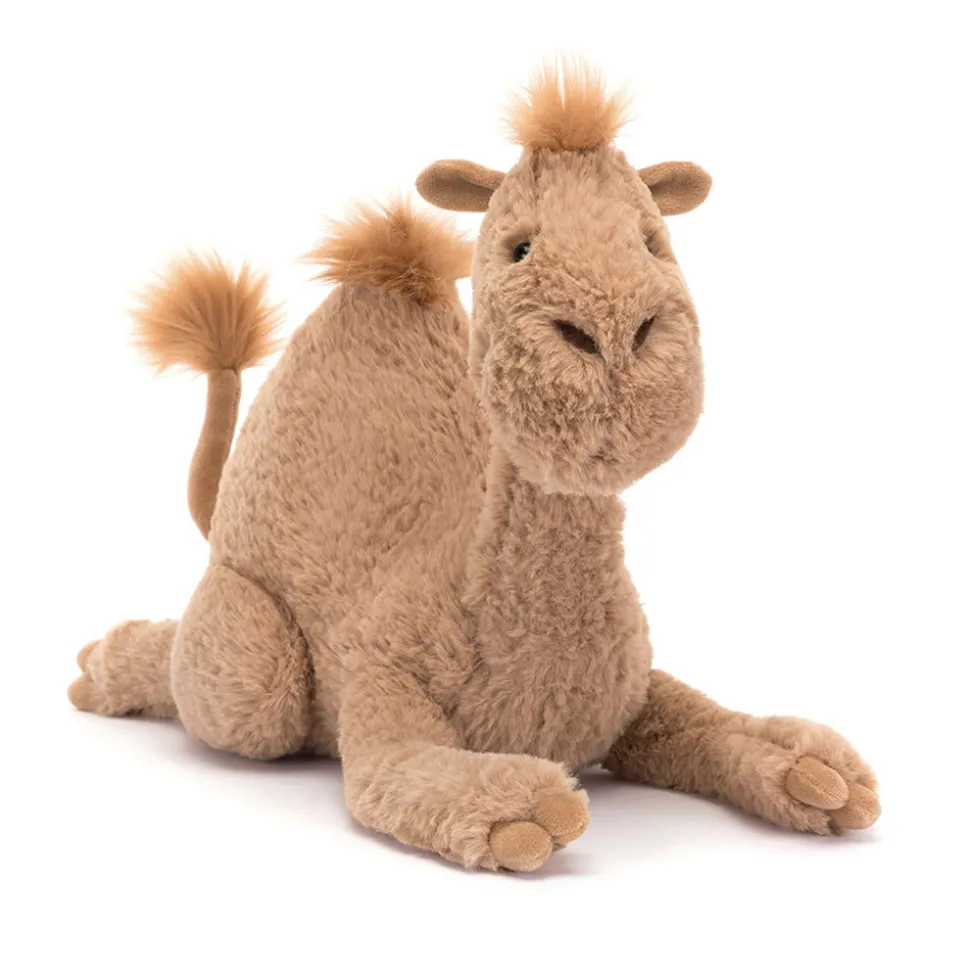 Richie Dromedary