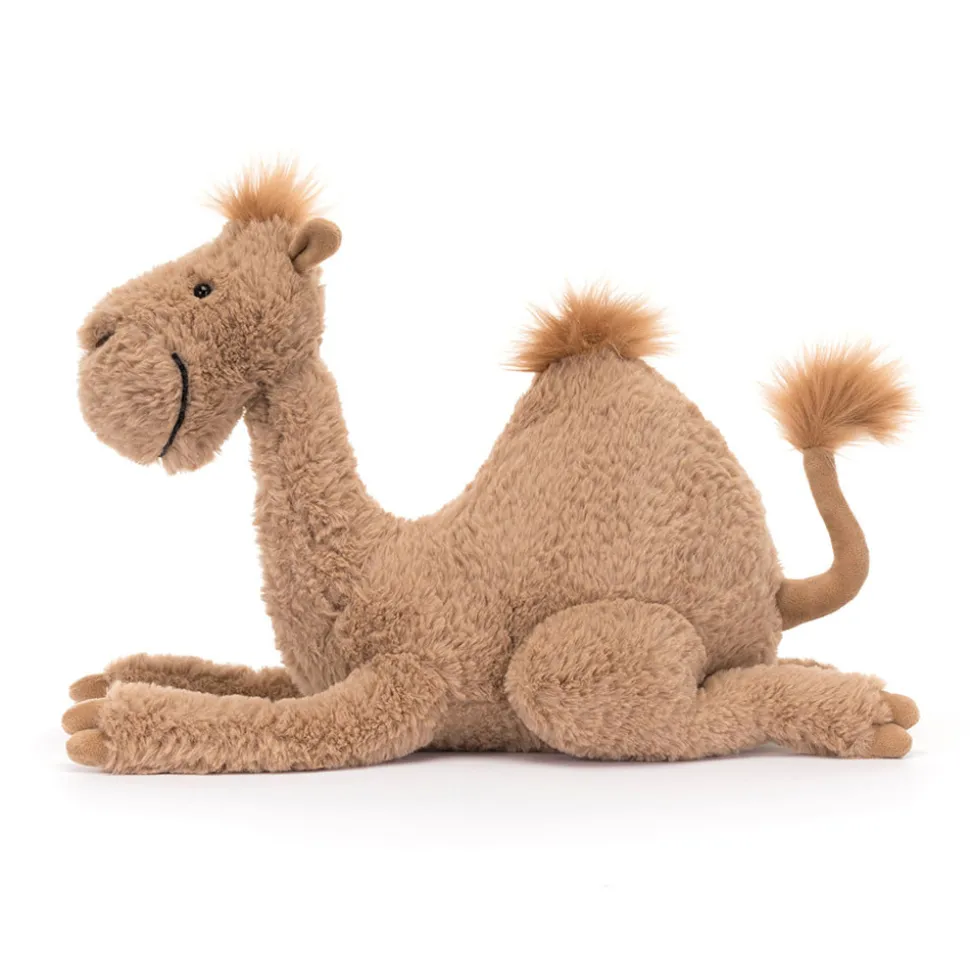 Richie Dromedary