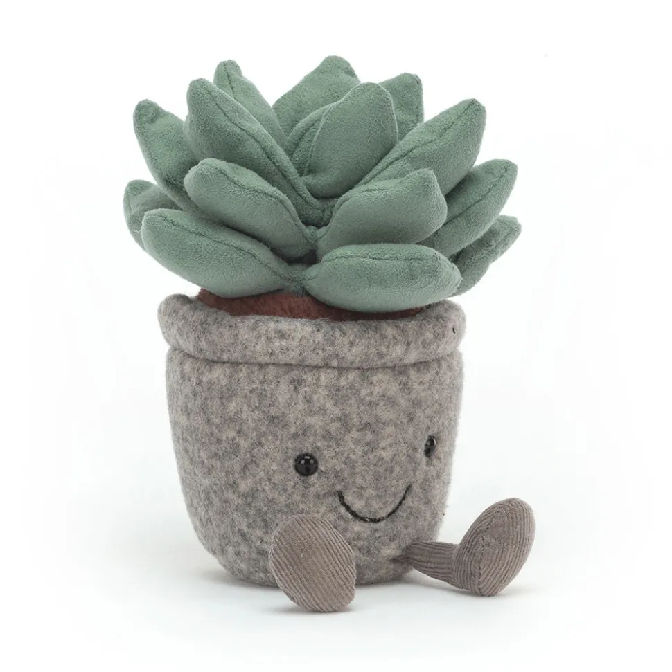 Silly Succulent Azulita