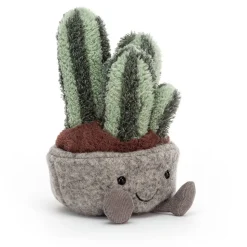 Silly Succulent Columnar Cactus