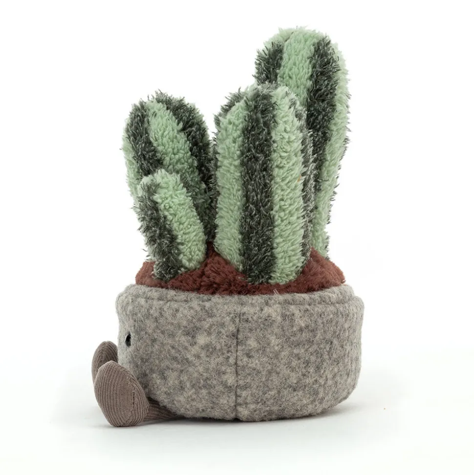 Silly Succulent Columnar Cactus
