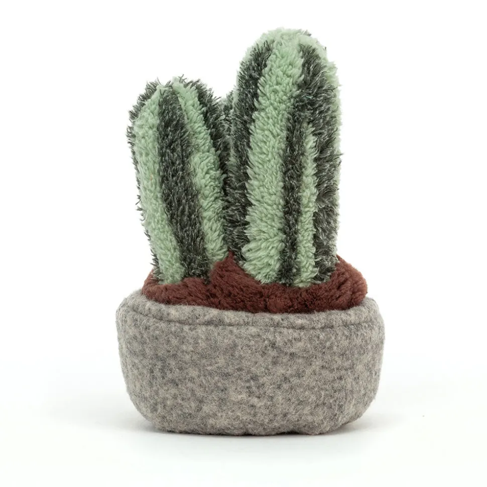 Silly Succulent Columnar Cactus