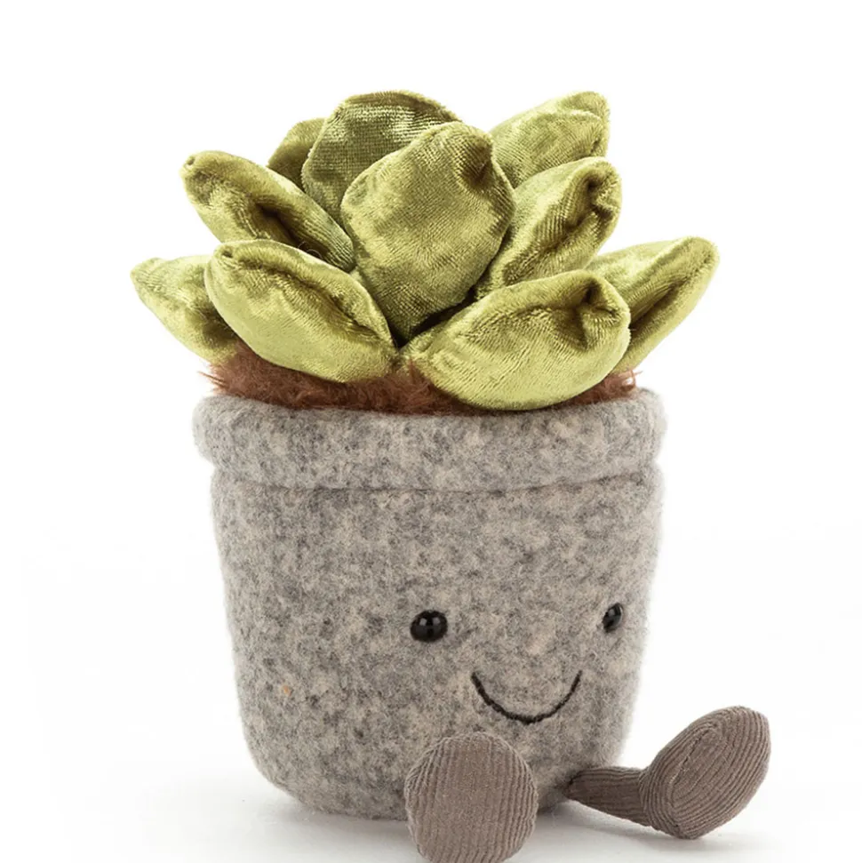 Silly Succulent Jade