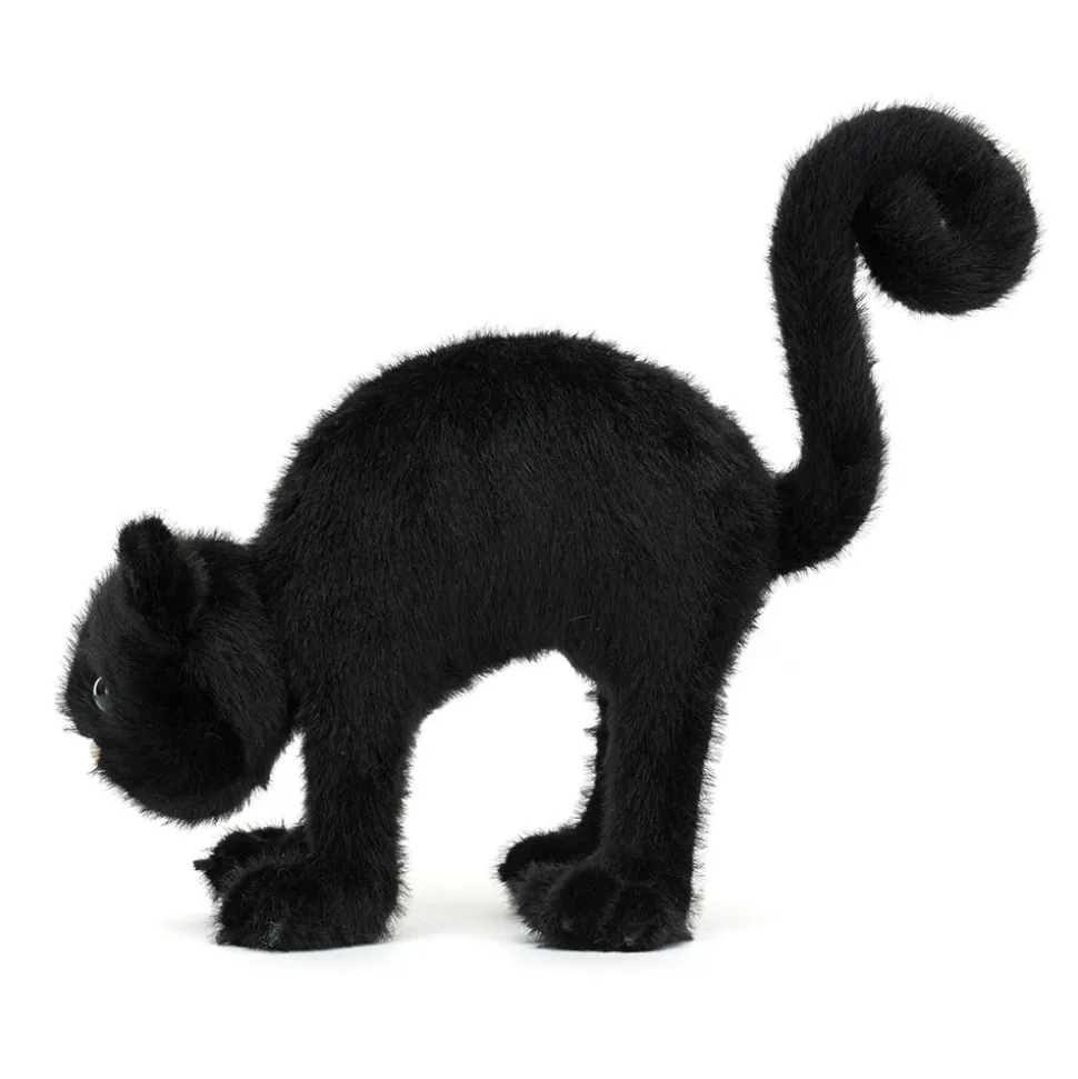 Spookipaws Cat