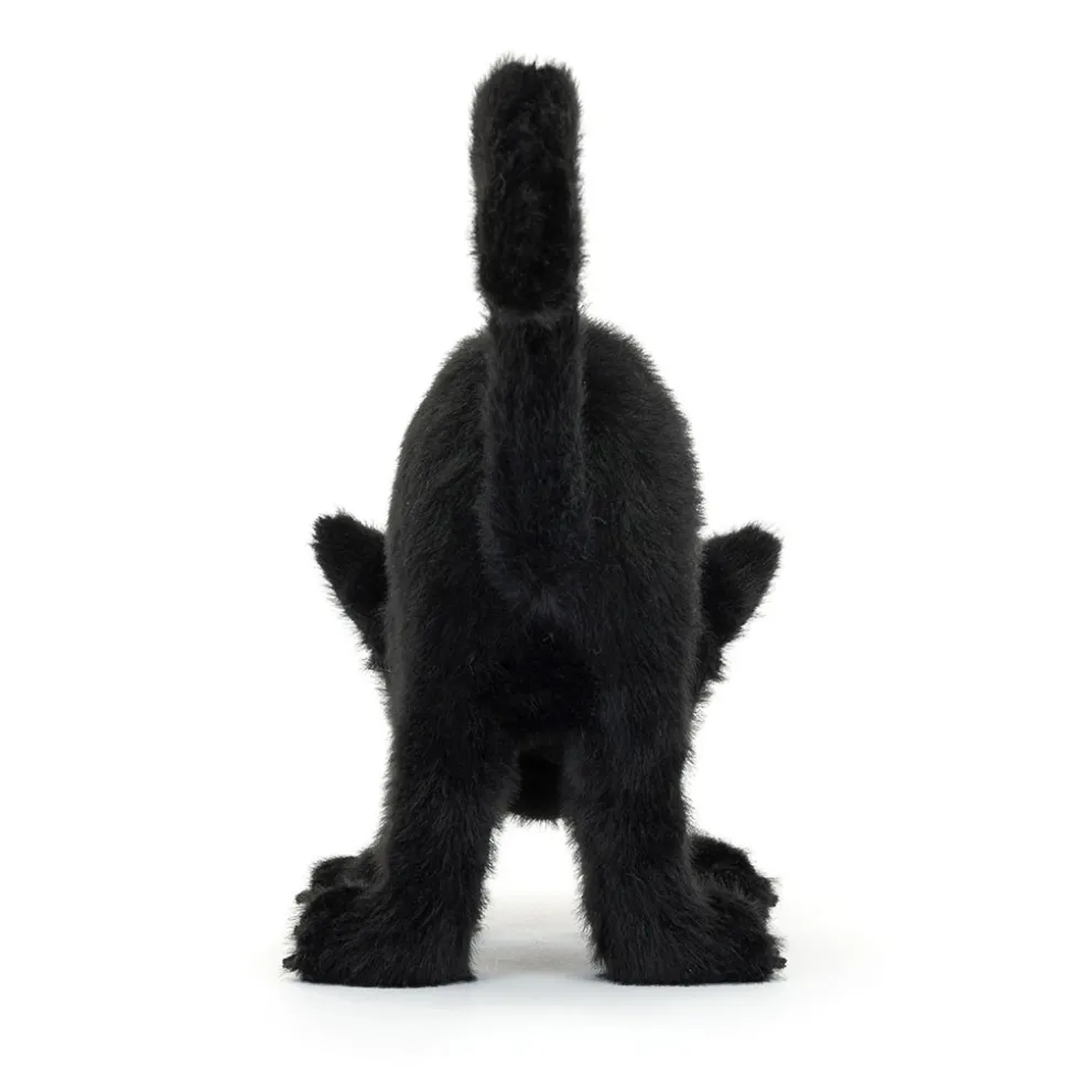 Spookipaws Cat