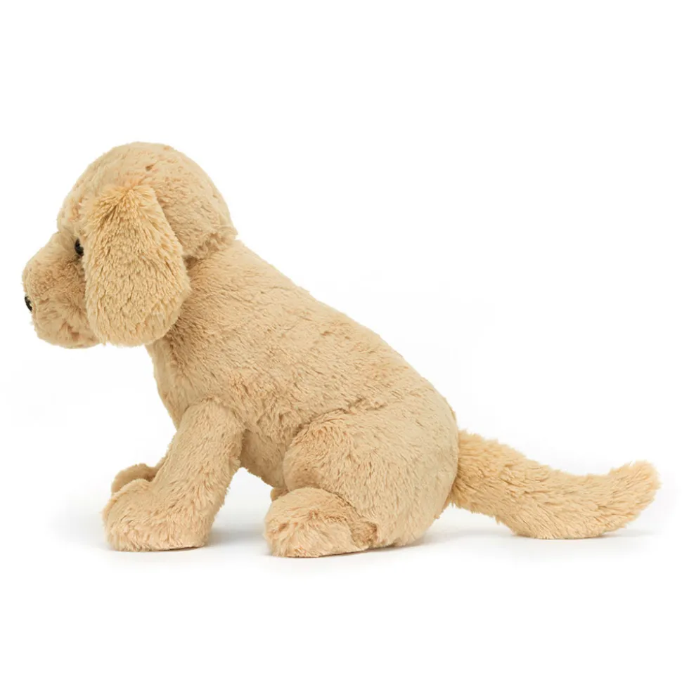 Tilly Golden Retriever