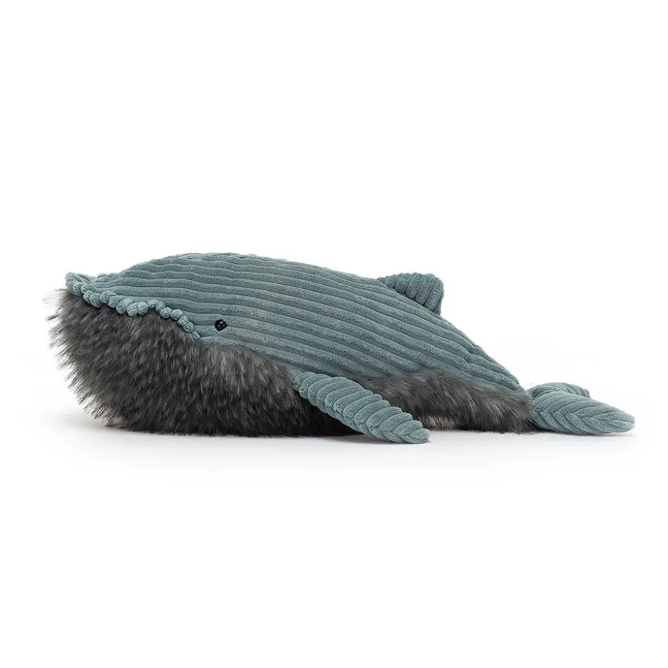 Wiley Whale