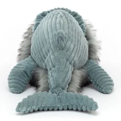 Wiley Whale